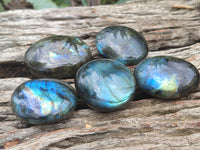 Polished Labradorite Palm Stones x 12 From Tulear, Madagascar