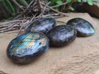 Polished Labradorite Palm Stones x 12 From Tulear, Madagascar