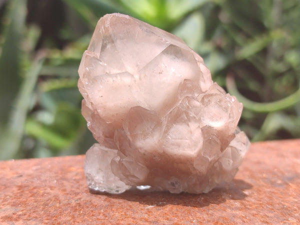 Natural Smokey Phantom Quartz Clusters x 13 From Luena, Congo