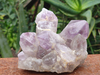 Natural Jacaranda Amethyst Quartz Clusters x 3 from Mumbwa, Zambia