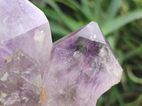 Natural Jacaranda Amethyst Quartz Clusters x 3 from Mumbwa, Zambia