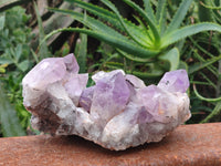 Natural Jacaranda Amethyst Quartz Clusters x 3 from Mumbwa, Zambia