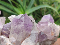 Natural Jacaranda Amethyst Quartz Clusters x 3 from Mumbwa, Zambia