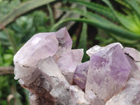 Natural Jacaranda Amethyst Quartz Clusters x 3 from Mumbwa, Zambia