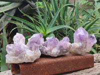 Natural Jacaranda Amethyst Quartz Clusters x 3 from Mumbwa, Zambia