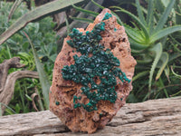 Natural Dioptase Cabinet Specimen x 1 From Reneville Brazzaville, Congo