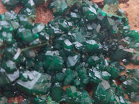 Natural Dioptase Cabinet Specimen x 1 From Reneville Brazzaville, Congo