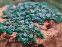 Natural Dioptase Cabinet Specimen x 1 From Reneville Brazzaville, Congo