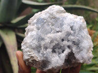 Natural Celestite Specimens x 4 From Sakoany, Madagascar