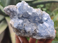 Natural Celestite Specimens x 4 From Sakoany, Madagascar