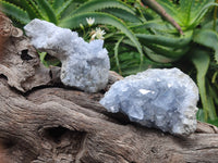 Natural Celestite Specimens x 4 From Sakoany, Madagascar