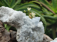 Natural Celestite Specimens x 4 From Sakoany, Madagascar