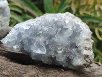 Natural Celestite Specimens x 4 From Sakoany, Madagascar