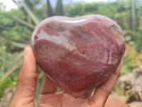 Polished Podocarpus Petrified Hearts x 2 From Mahajanga, Madagascar