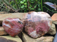 Polished Podocarpus Petrified Hearts x 2 From Mahajanga, Madagascar