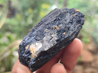 Natural Alluvial Schorl Black Tourmaline Crystals x 35 From Zimbabwe