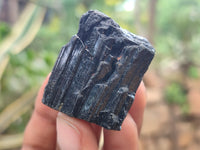 Natural Alluvial Schorl Black Tourmaline Crystals x 35 From Zimbabwe