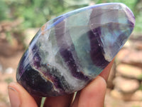 Polished Watermelon Fluorite Free Forms x 24 From Namibia