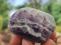 Polished Watermelon Fluorite Free Forms x 24 From Namibia