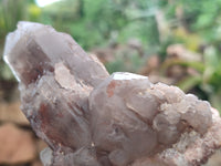 Natural Red Hematoid Quartz Clusters x 3 From Karoi, Zimbabwe