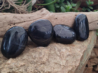 Polished Pharaoh Stone Palm Stones x 12 From Zimbabwe