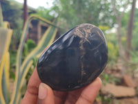 Polished Pharaoh Stone Palm Stones x 12 From Zimbabwe