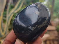 Polished Pharaoh Stone Palm Stones x 12 From Zimbabwe