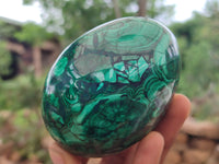 Polished Flower Banded Malachite Eggs x 2 From Congo