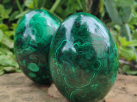 Polished Flower Banded Malachite Eggs x 2 From Congo