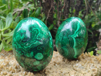 Polished Flower Banded Malachite Eggs x 2 From Congo