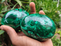 Polished Flower Banded Malachite Eggs x 2 From Congo