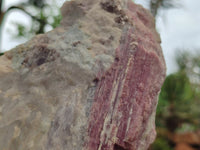 Natural Pink Rubellite Tourmaline Matrix Specimen x 1 From Karibib, Namibia