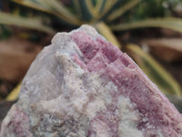 Natural Pink Rubellite Tourmaline Matrix Specimen x 1 From Karibib, Namibia