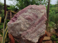 Natural Pink Rubellite Tourmaline Matrix Specimen x 1 From Karibib, Namibia