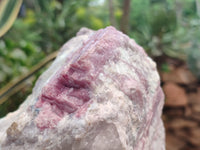 Natural Pink Rubellite Tourmaline Matrix Specimen x 1 From Karibib, Namibia