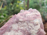 Natural Pink Rubellite Tourmaline Matrix Specimen x 1 From Karibib, Namibia