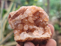 Natural Limonite Quartz Clusters x 24 From Solwezi, Zambia