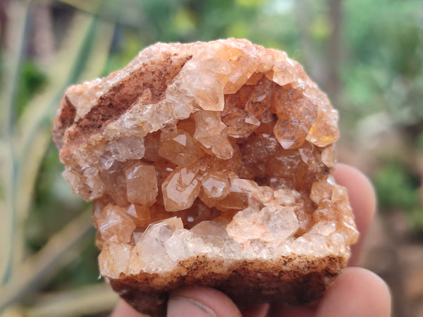 Natural Limonite Quartz Clusters x 24 From Solwezi, Zambia