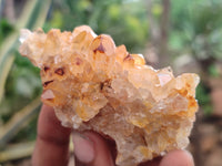 Natural Limonite Quartz Clusters x 24 From Solwezi, Zambia