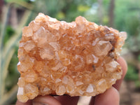 Natural Limonite Quartz Clusters x 24 From Solwezi, Zambia