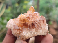 Natural Limonite Quartz Clusters x 24 From Solwezi, Zambia