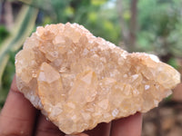 Natural Limonite Quartz Clusters x 24 From Solwezi, Zambia