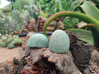 Polished Amazonite Palm Stones x 24 from Zimbabwe