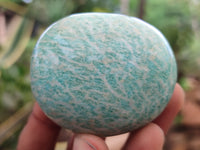 Polished Amazonite Palm Stones x 24 from Zimbabwe