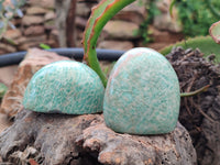 Polished Amazonite Palm Stones x 24 from Zimbabwe