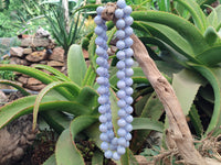 Polished Namibian Blue Lace Agate Ball Shaped 16mm Bead Necklace - Sold per Item- From Namibia