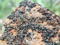 Natural Libethenite Crystals On Dolomite Matrix Specimens x 6 From Shituru, Congo