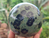 Polished Stromatolite Jasper Spheres x 2 From Katsepy, Madagascar