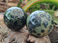 Polished Stromatolite Jasper Spheres x 2 From Katsepy, Madagascar