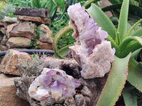 Natural Jacaranda Amethyst Quartz Clusters x 2 from Mumbwa, Zambia